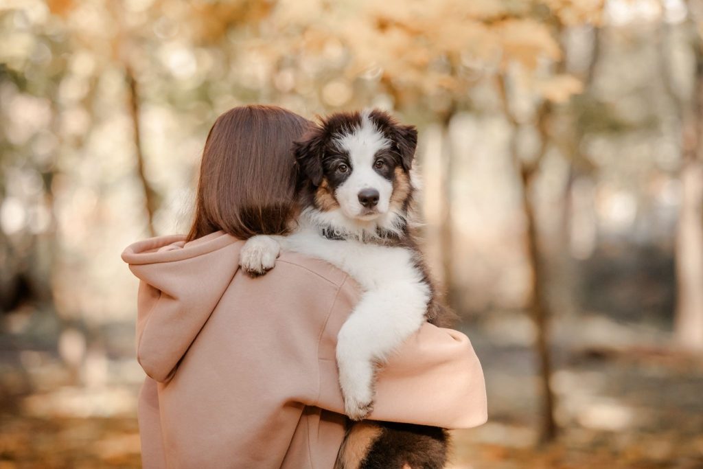 What are the primary benefits of adopting a dog versus buying from a breeder?