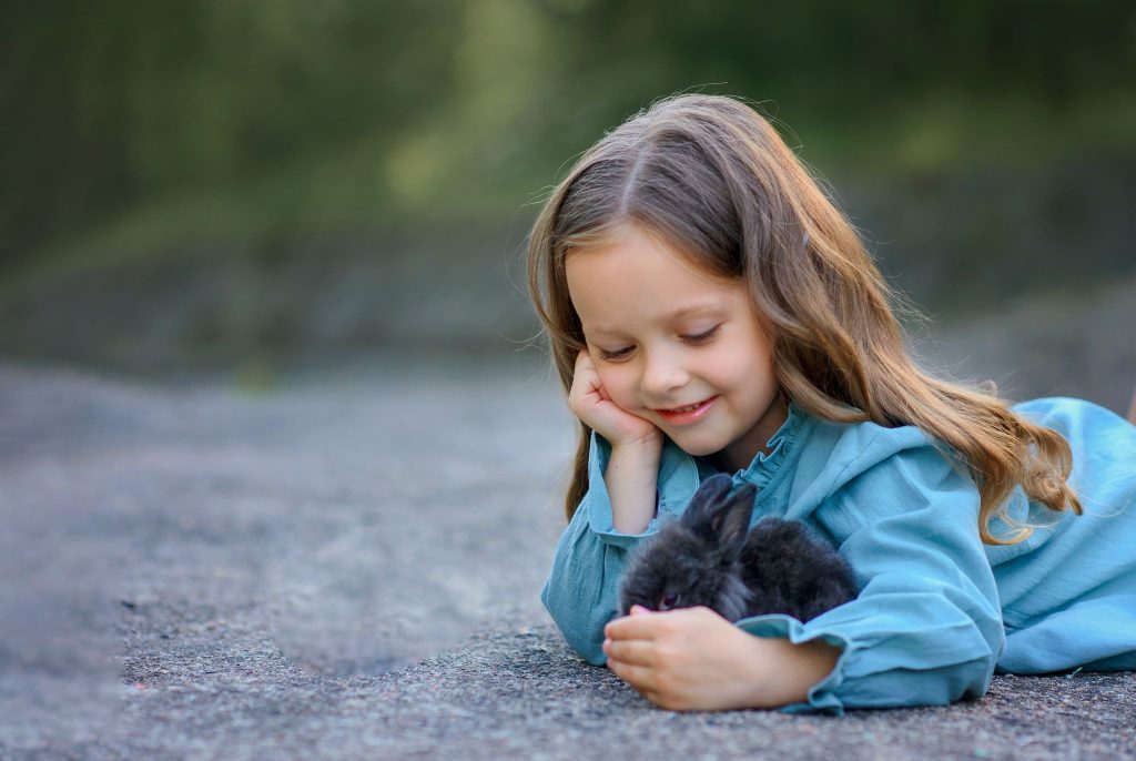Heartwarming Animal Stories: Lessons in Resilience, Bravery, and the Human-Animal Bond