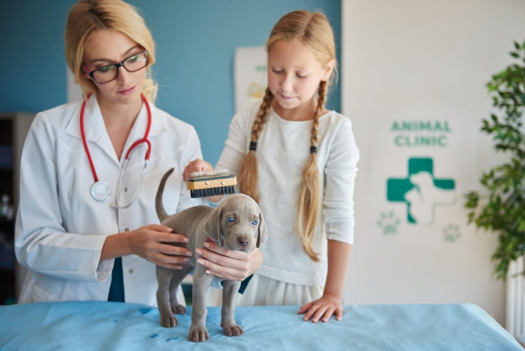 animal care handbook