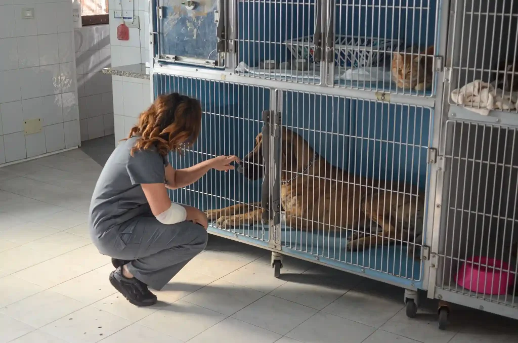 support animal rescue